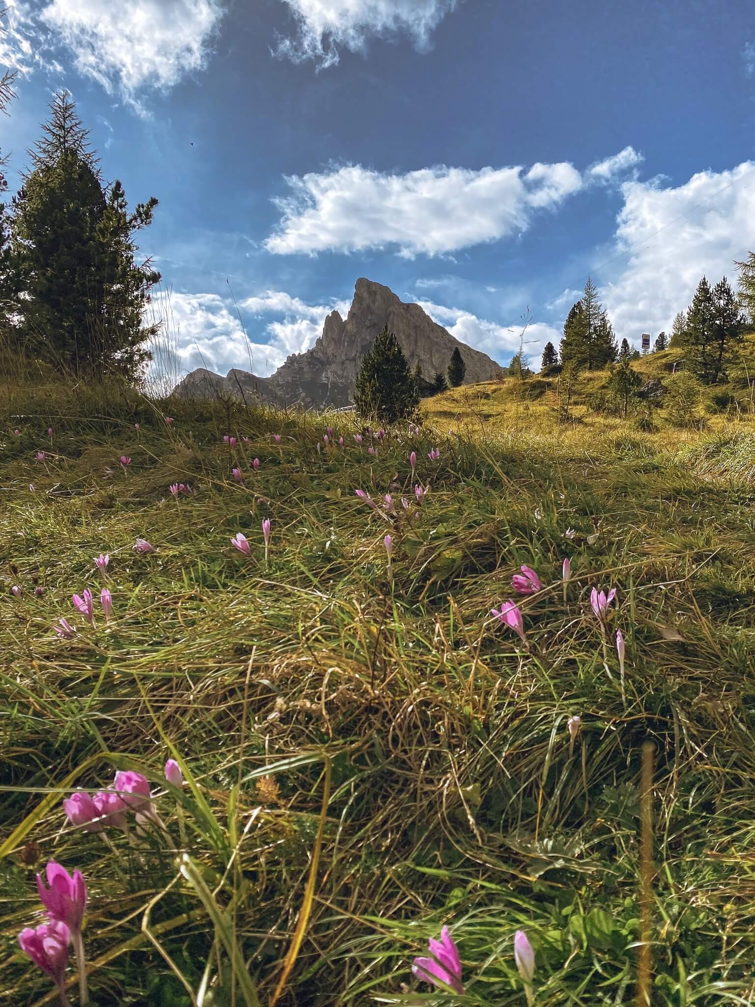 Passo di Falzarego - Belluno, Dolomity