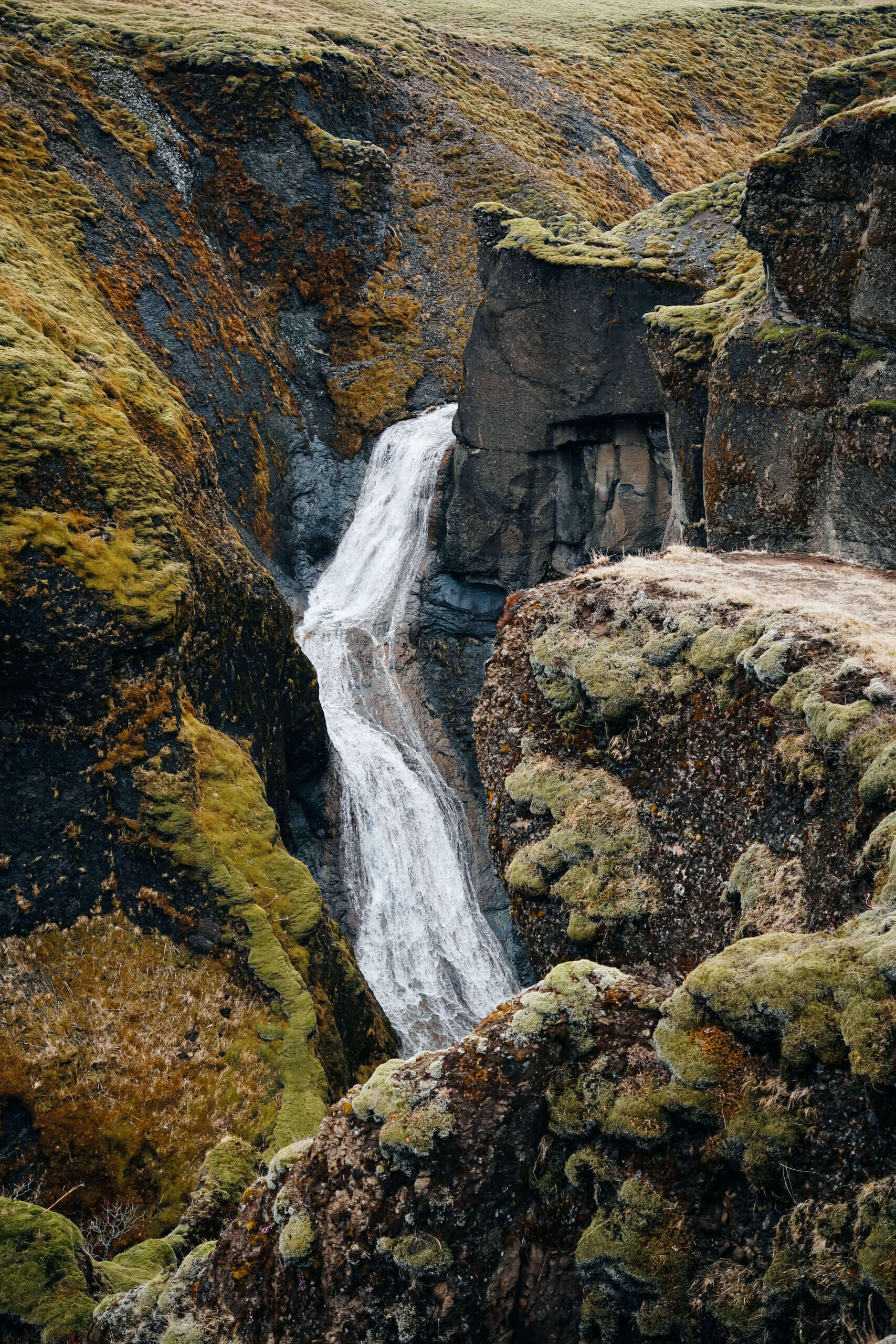 Kaňon Fjaðrárgljúfur - Island